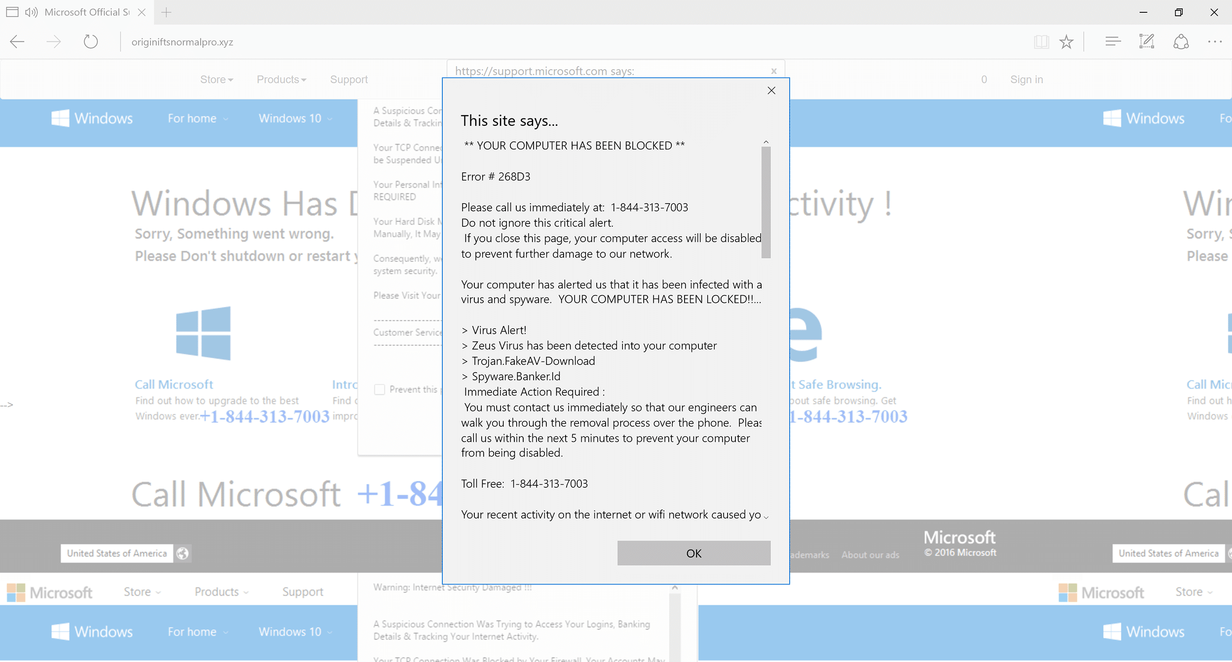 microsoft support scam