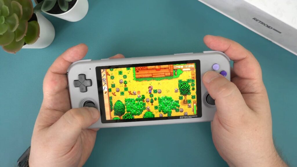Stardew Valley