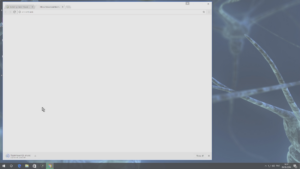 2 TeamViewer QuickSupport nedladdad