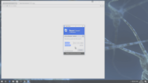 4 TeamViewer QuickSupport igång