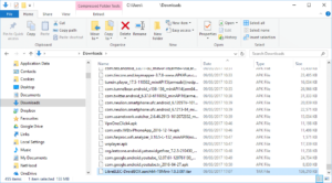 Copy Downloaded File
