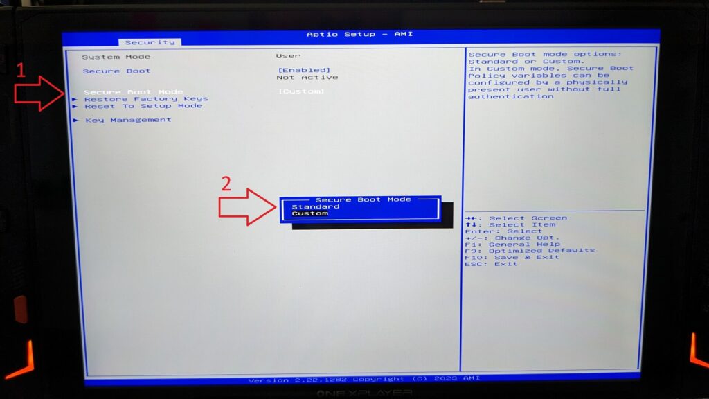 Select Secure Boot Mode, then Standard
