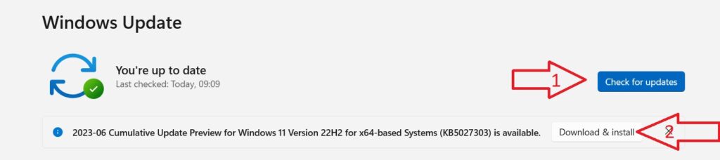 Check for Windows Updates