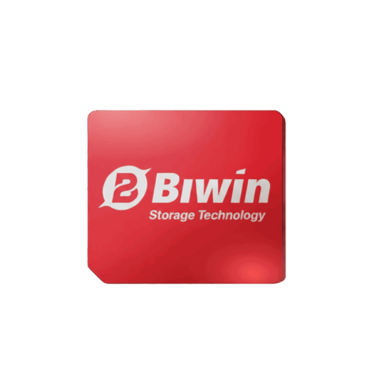 The logo for Biwin Storage Technology featuring a stylized white B and the text Biwin Storage Technology in white on a glossy red square card set against a dark green background